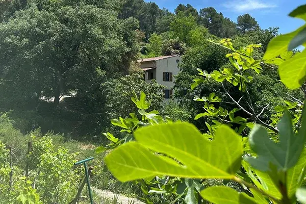 Dreamia - Wooded garden